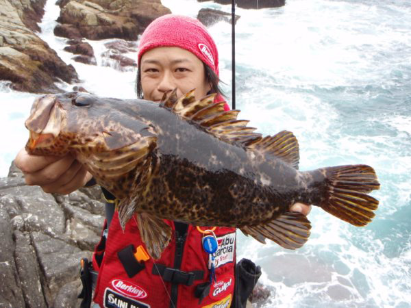 タケノコメバル ベッコウゾイ が釣れる時期や生態 習性 最大サイズなど ロックフィッシュ界のイケメン ロックリンク Rock Link