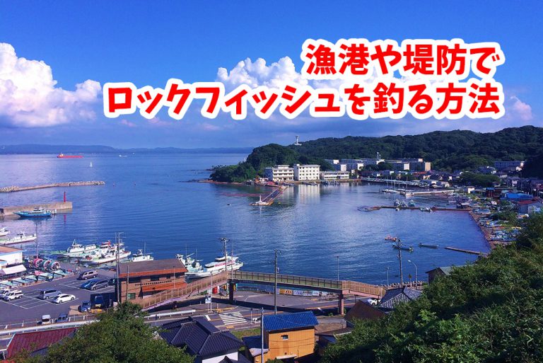 漁港や堤防でロックフィッシュをルアーで釣る方法