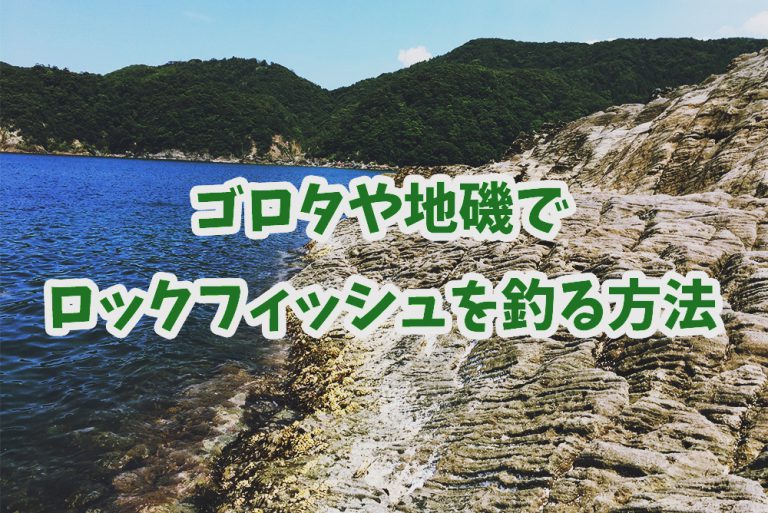 ゴロタや地磯でロックフィッシュをルアーで釣る方法『陸から行ける最高峰のポイント』