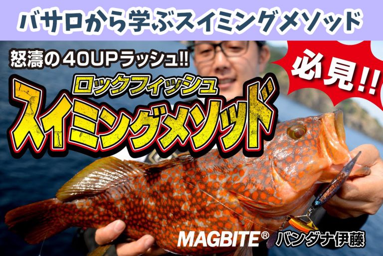 マグバイト（MAGBITE）から学ぶロックフィッシュゲーム！バサロ（スイミング）メインのキジハタ（アコウ）の釣り動画