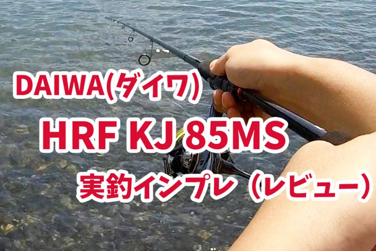 Daiwa（ダイワ）HRF KJ 85MS 実釣インプレ（レビュー）キジハタ（アコウ）専用おすすめロッド