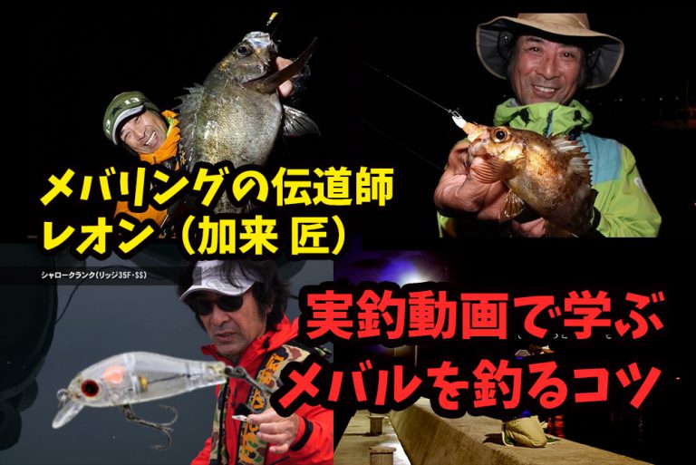 メバリング初心者必見！レオン（加来 匠）の動画から学ぶメバルを釣るコツ