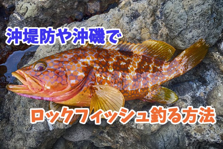 沖堤防や沖磯でロックフィッシュをルアーで釣る方法！渡船を利用して行くシーズン（時期）問わず最強ポイント
