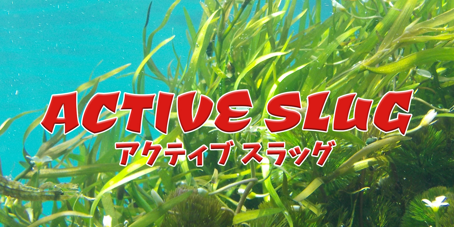 アクティブ スラッグ(ACTIVE SLUG)