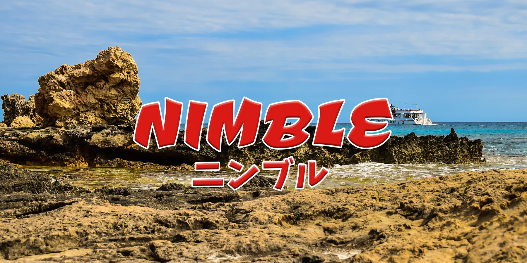 ニンブル(NIMBLE)